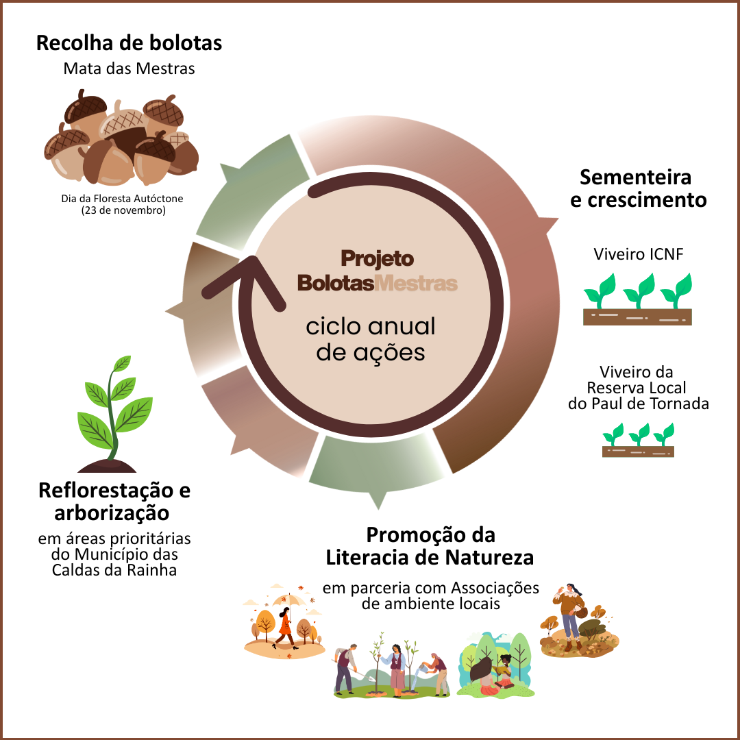 BolotasMestrasdiagrama