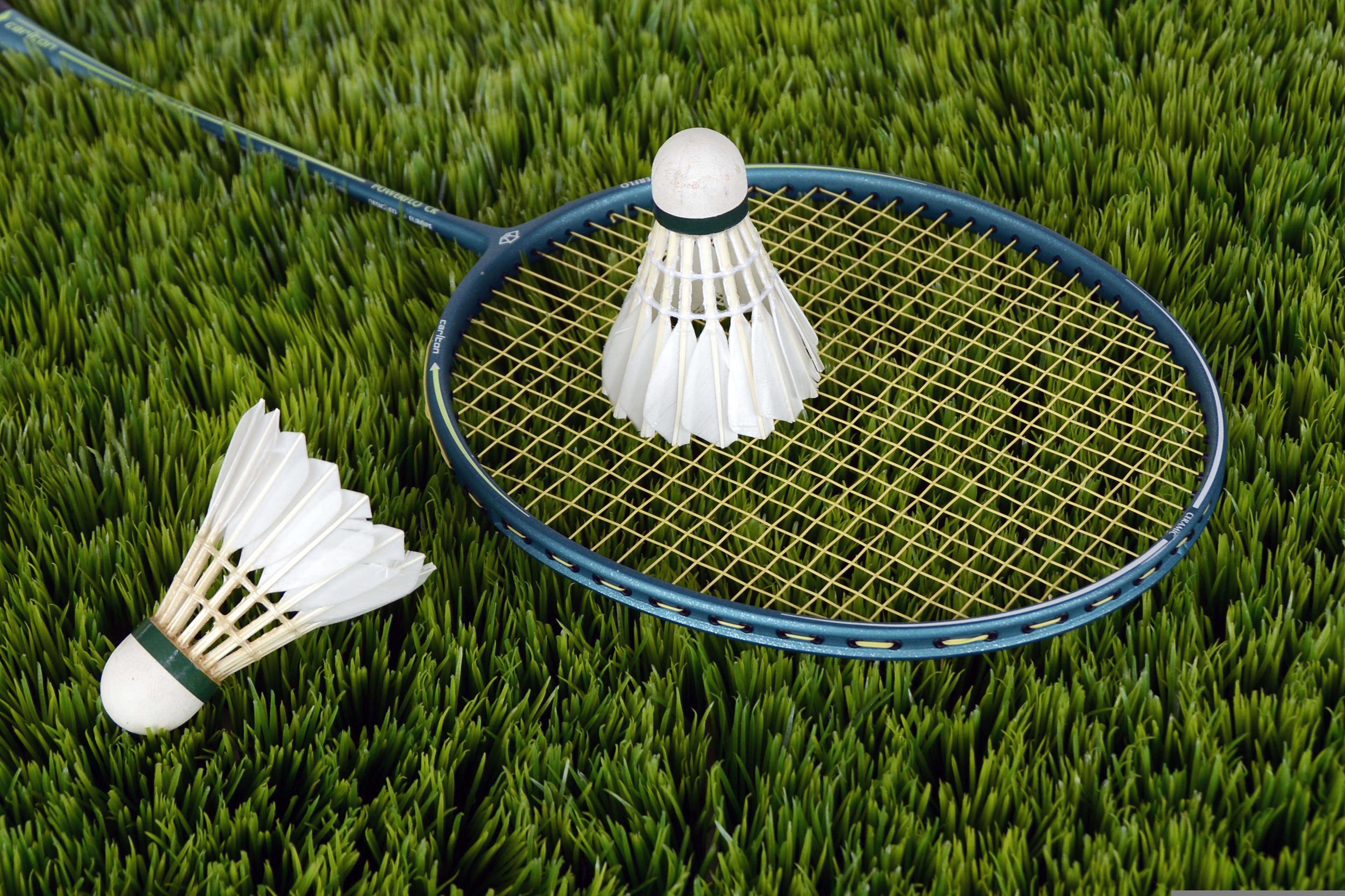 Imagem Evento Estágio da Seleção Nacional sub 15 de badminton