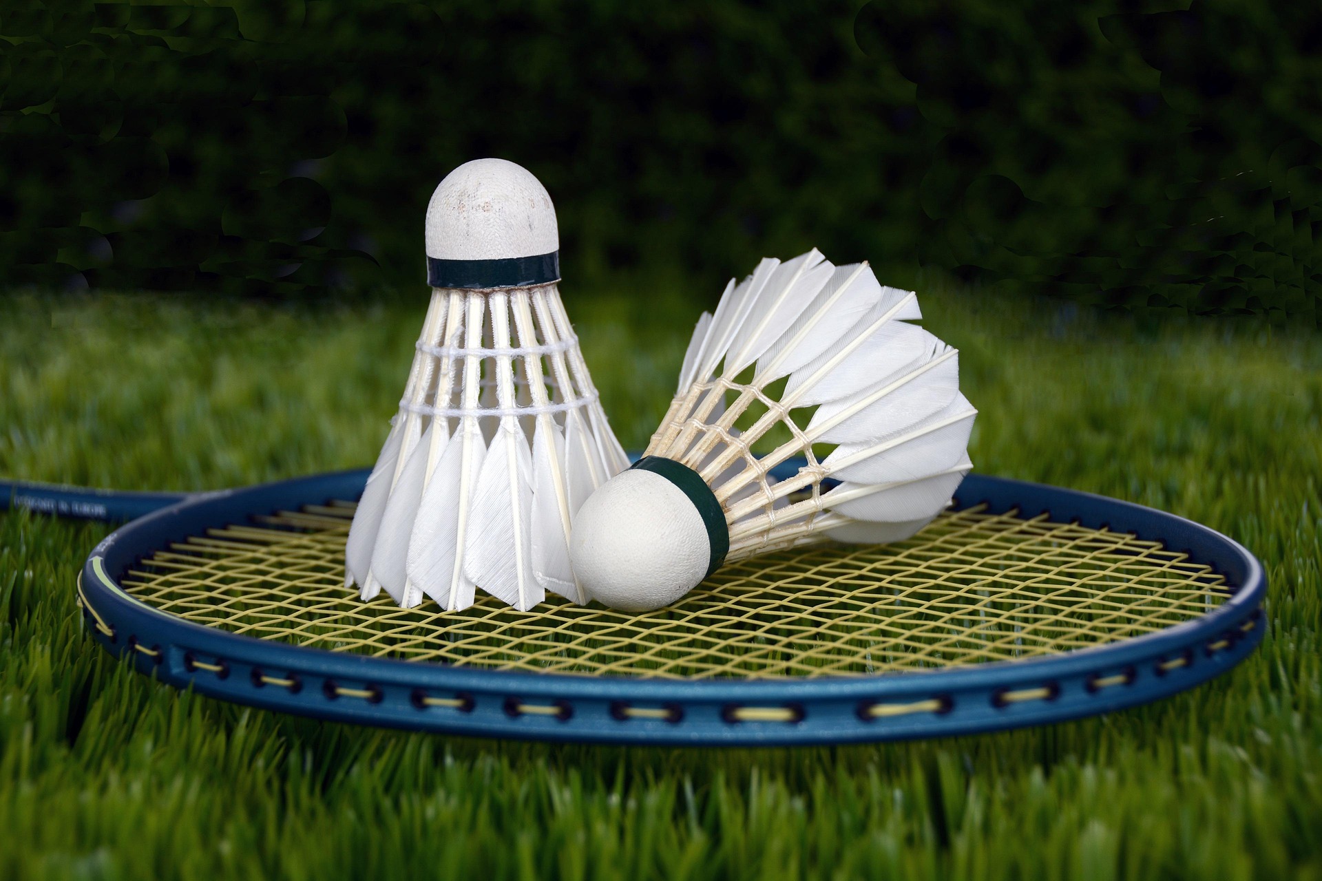 Imagem Evento Badminton - 4.ª Jornada Nacional S11 / S15 / S19