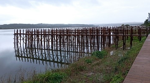 cais palafitico