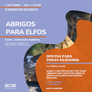 Imagem Evento Oficina - Construção de abrigos para elfos